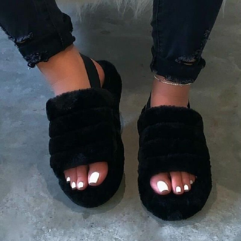 511629241