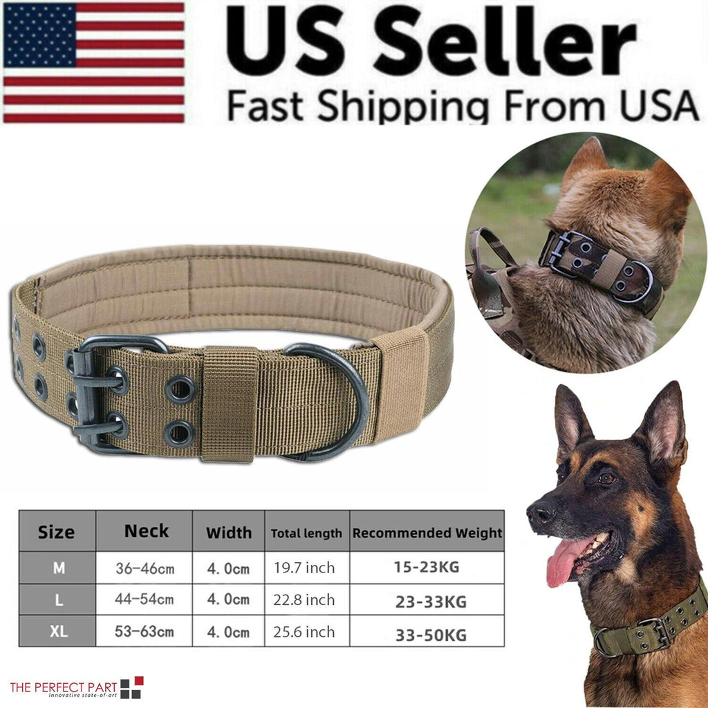 519988241
